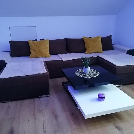 Apartment An Der Schweizer Grenze Лауфенбурґ Екстер'єр фото