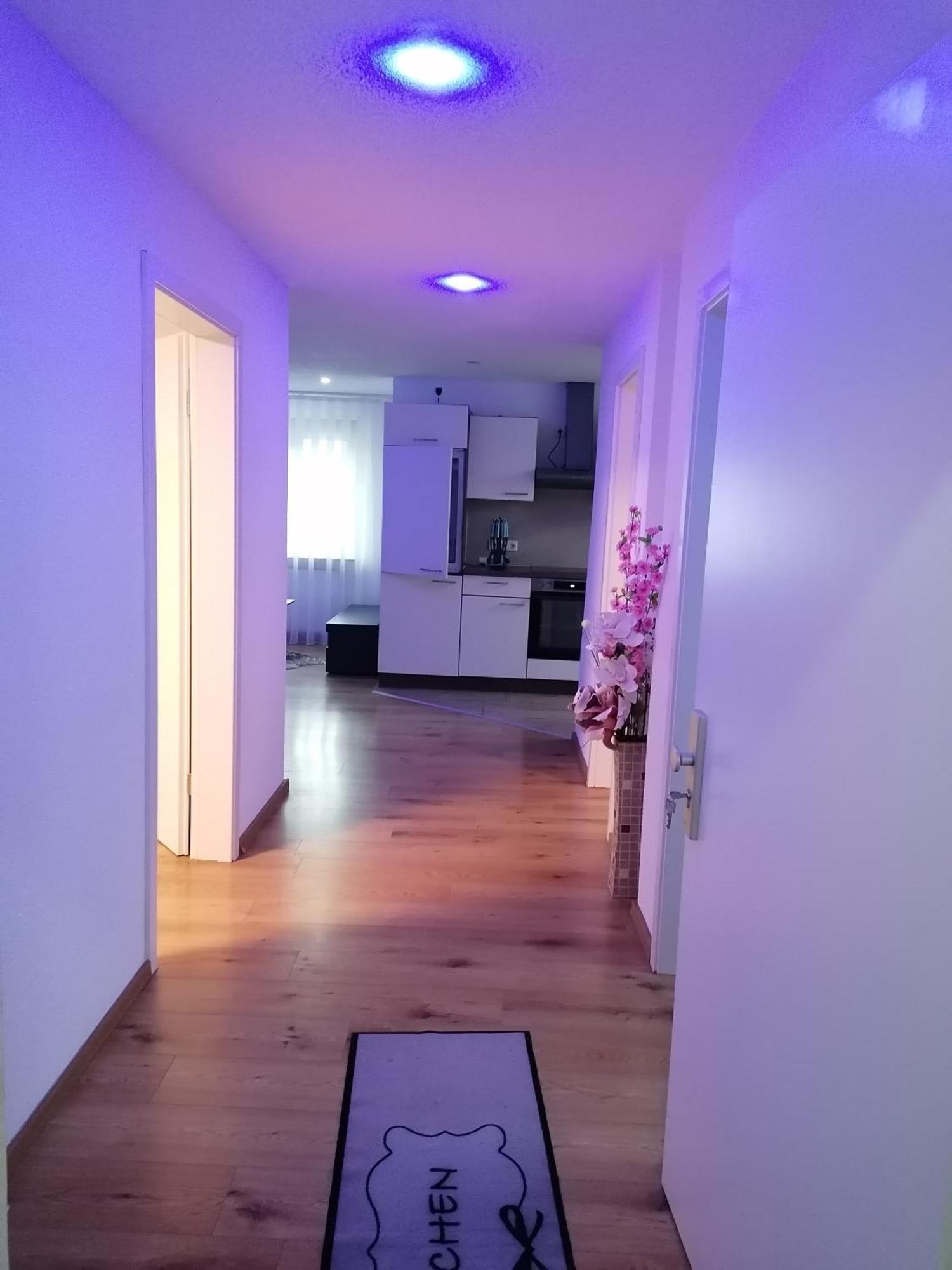 Apartment An Der Schweizer Grenze Лауфенбурґ Екстер'єр фото